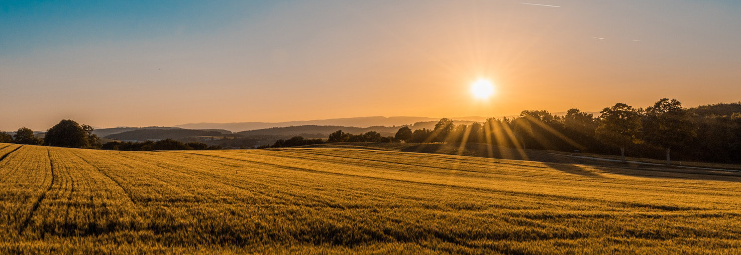 Sparta NC Travel Guide